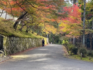 曼殊院